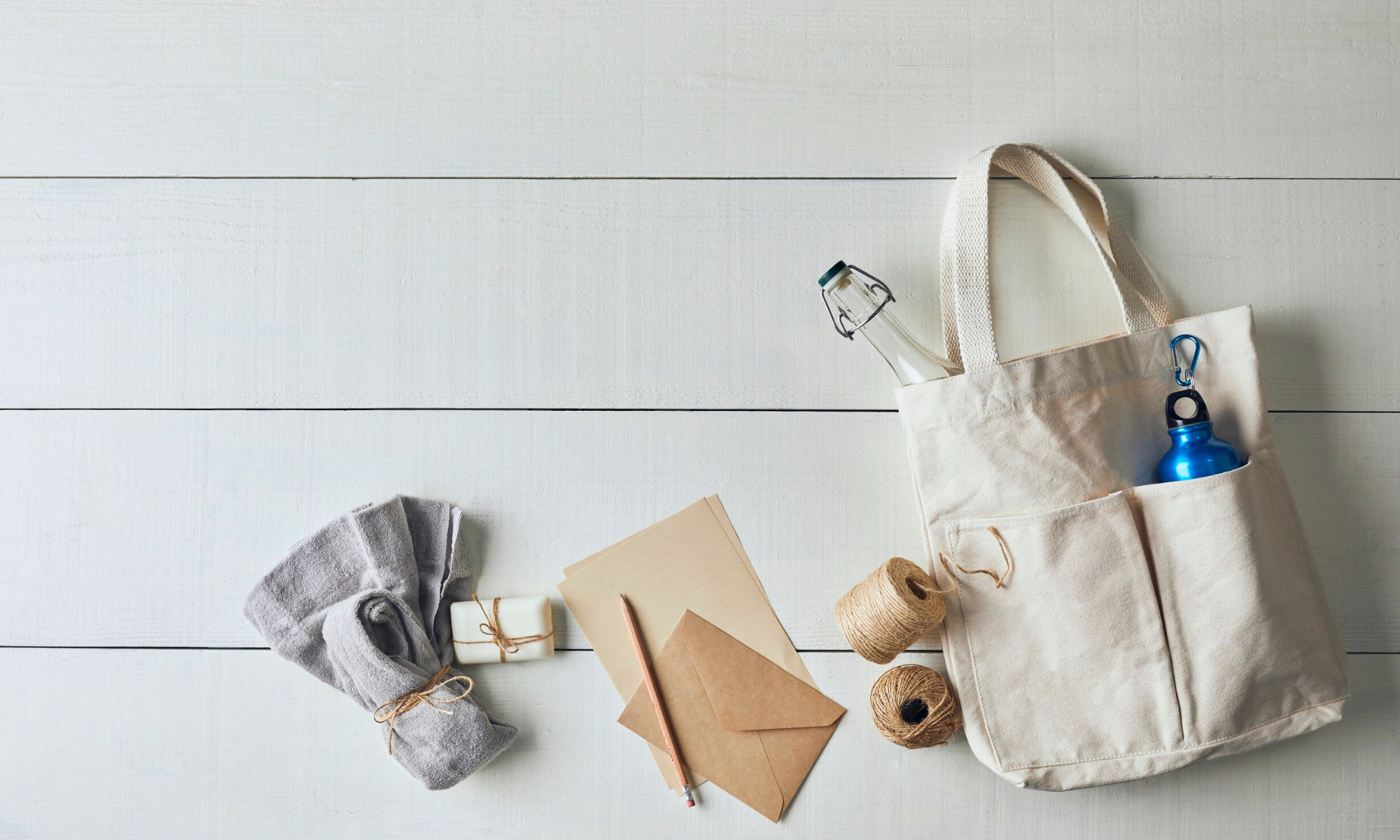 地方から、子連れディズニー