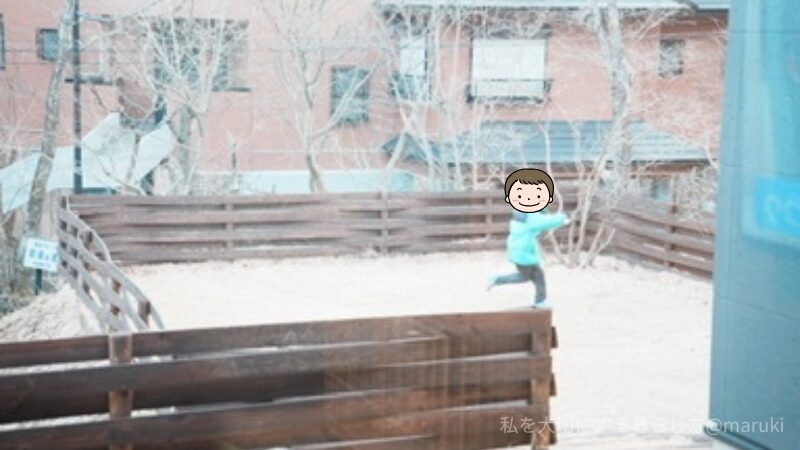 TOWAピュアコテージのドッグランで遊ぶ様子