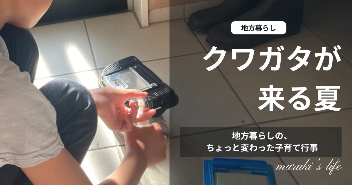 クワガタが来る夏 地方暮らしの子育て行事 アイキャッチ