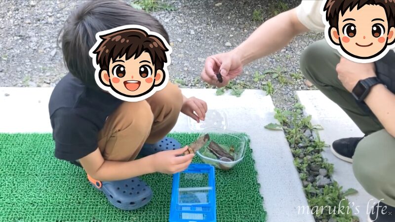 夫が子どもにクワガタの持ち方を教えている地方暮らしの夏