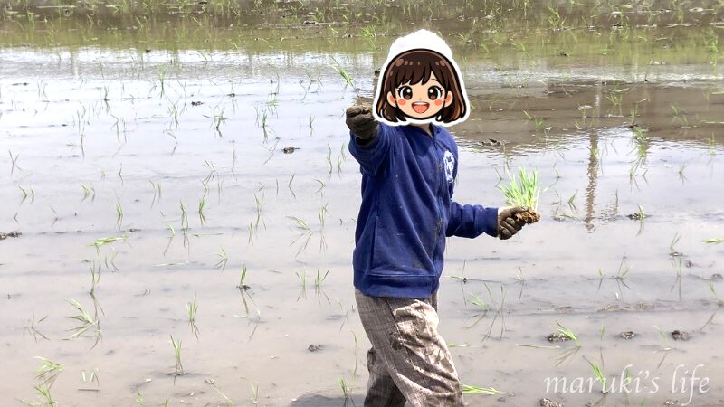 苗を手に持つ子ども