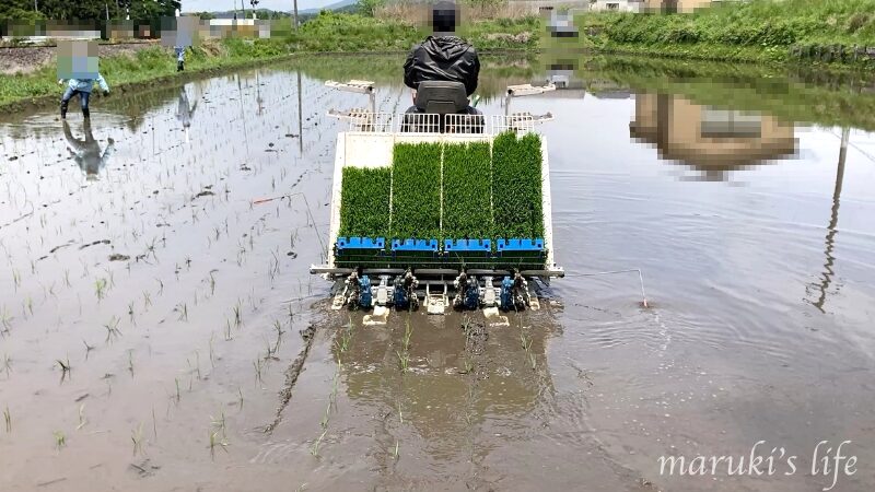 田植え機が田んぼをゆっくり走る様子