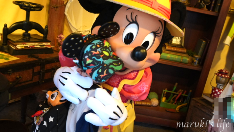 ディズニーシー ミニーとのグリーティング