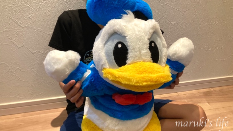 ディズニーシーのお土産 ドナルドのだきぬいぐるみ