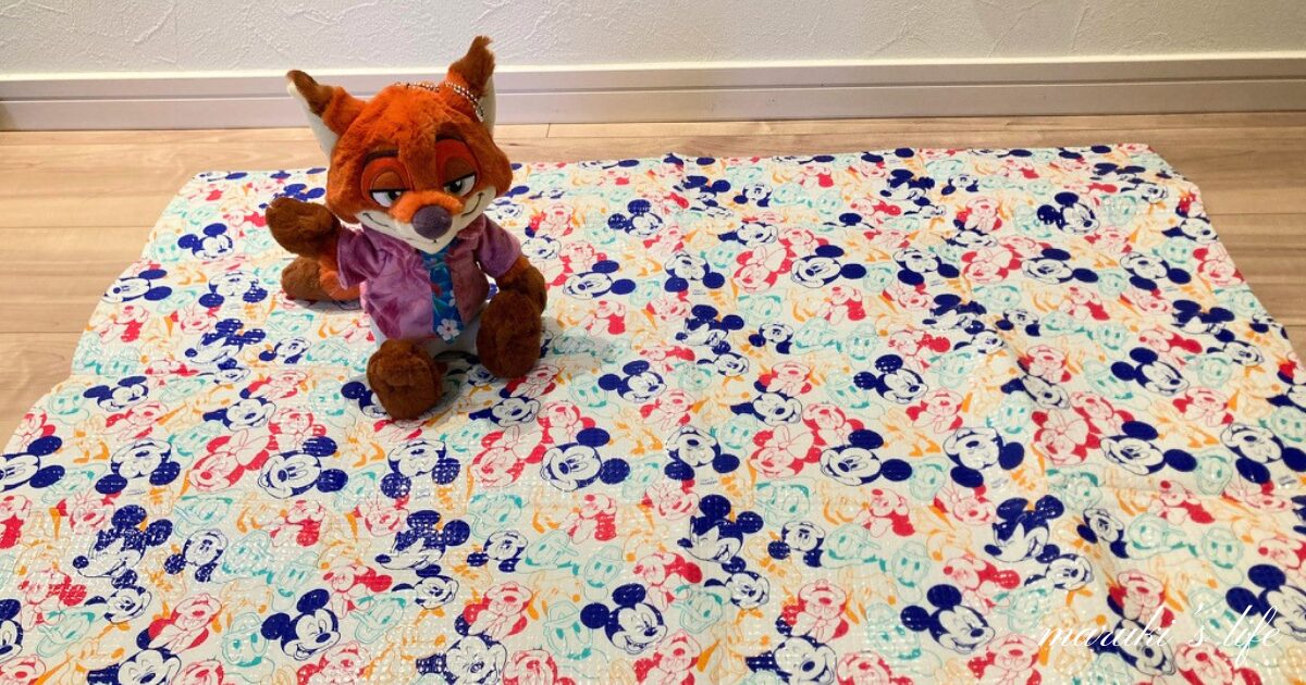 子連れディズニーの持ち物準備イメージ