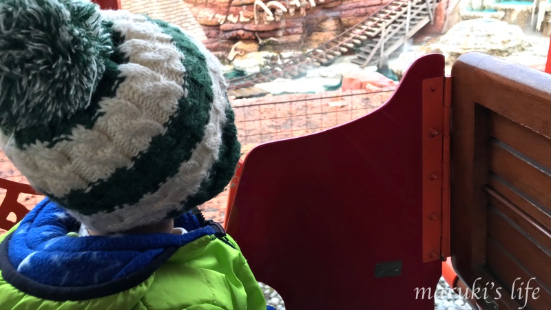 ディズニーランド ウエスタンリバー鉄道に乗る子ども